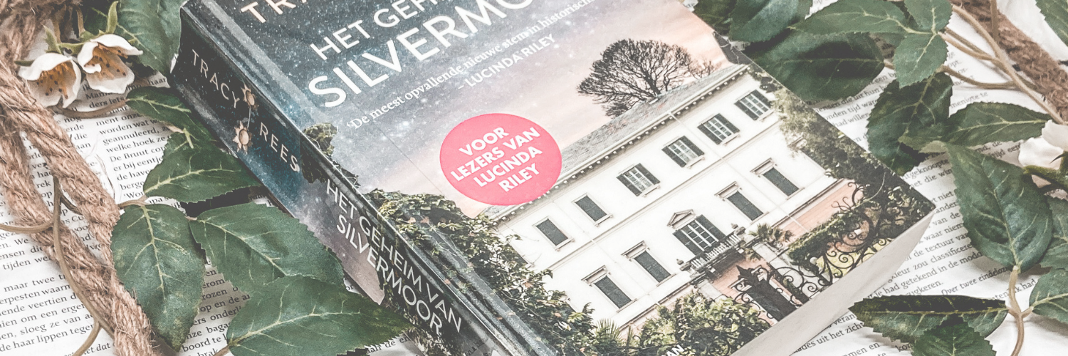 boek het geheim van silvermoor